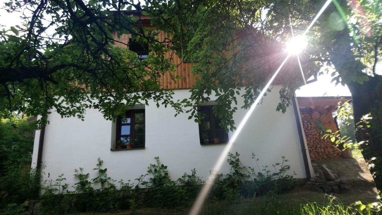 Forest Rustic Apartment Brdy Vesin Eksteriør billede